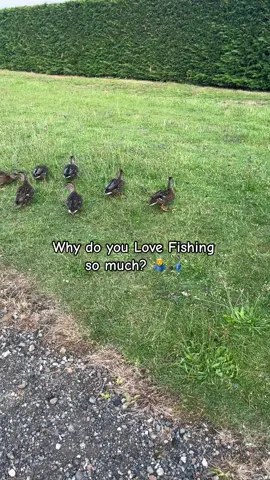 Peace with Fishing 🎣 #fyp #foryou #foryoupage #fishing #fishtok #fishinglife #carpfishing #nayzofishing #angler #viral