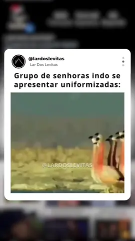 Eita glória, puro fogo 🔥😂 #lardoslevitas #memes #gospel #cristão #senhoras #uniformes #crente #igreja #grupo #oração #senhora #senhor #paz #senhor #espiritosanto #circulodeoração 