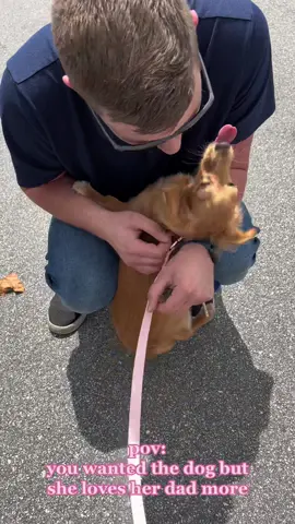 stella 🫶🏼 her daddy #dachshund #dachshundsoftiktok #dachshunds #weinerdog 