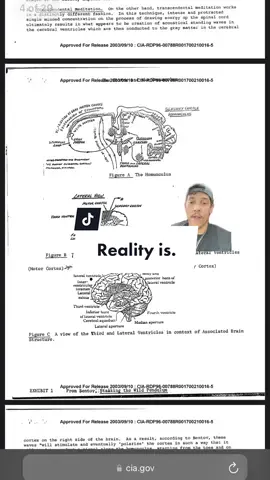 This is how reality truly is 👁️ #spirituality #meditation #nutrition #focus #healing #Consciousness #fyp #spiritualtiktok #Spiritualawakening #vegan #celestialuniversity #embodimentcelestial #zodiac #hearthbook #Christianity #islam #catholic #buddha #buddhism