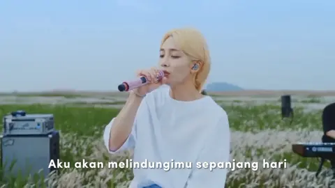 Lirik Terjemahan Seventeen - All My Love #scoups #jeonghan #joshua #jun #hoshi #wonwoo #woozi #the8 #mingyu #dokyeom #seungkwan #vernon #dino #seventeen #seventeen17_official #fypkpop 