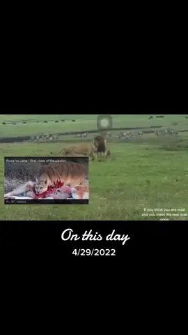 #onthisday 