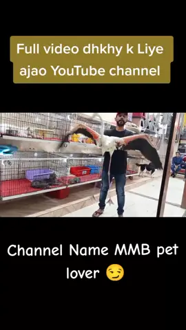 btao Kya name h is animal ka 👌😏 #4upageシ #unfareezmyaccount #standoutwithrealmec35 #Dog #bigdogs #😻 #😻😻😻 #foryou #viralvideo #trand #petlover #babylion #standoutwithrealmec35 #unfareezmyaccount #4upageシ 