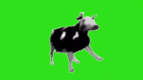 Polish cow dancing greenscreen (Request)#memes 
