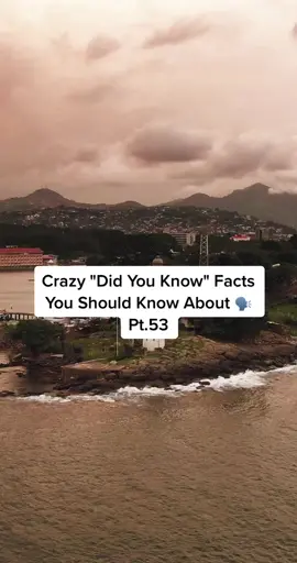 Lern frm thuh bess 🧠 #DidYouKnow #didyouknowfacts #facts 