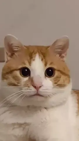 🥰