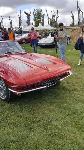 Chevrolet Corvette Sting Ray de los años 60 llegando a @autopia_oficial por los 70 años del modelo se reunió una amplia gama de diferentes épocas en la zona del Lago. En otra zona del Bosque también hubo una dedicada al Corvette.  #chevrolet #chevroletcorvette #corvette #corvettelifestyle #corvettestingray #stingray #chevy #chevycorvette #oldchevy #oldchevrolet #musclecar #musclecars  #americancar #americancars  #instacars #instacar #classiccar #classiccars #clubhojalata #petrolhead #cargram #carsofinstagram #carstagram #carphotography #carlovers #coches #carspotting #automobile #classique #tiktokcars 