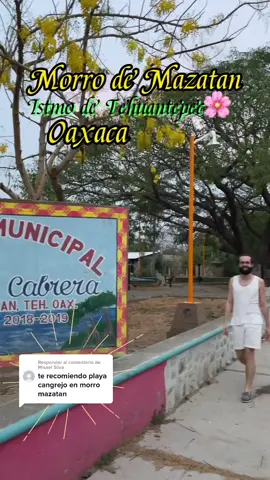 Respuesta a @Misael Silva Morro de Mazatan, Oaxaca 🦀 #rosvinmora #rosvin #reseñistarosvin #morromazatan #morrodemazatan #pueblo #pueblomagico #pueblosmagicos #pueblomexicano #puebloistmeño #pueblooaxaqueño #pueblooaxaca #oaxaca #istmodetehuantepec #istmooaxaca #istmooaxaca #istmotehuentepec #costaoaxaqueña #costarica #pueblosoriginarios #parquedepueblo #familia #lgbt #gayboy #aventuras #aventurasenfamilia #estilodevida #amooaxaca #amooaxaca💓💓💓💓 #oaxacaenmicorazon #oaxacamio #istmooaxaqueño #dunasdechipehua #salinacruz #salinacruzoaxaca #salinacruzoaxaca❤️🥰 #juchitandezaragozaoaxaca #juchitanoaxaca #ixtepecoaxaca #vallescentralesoaxaca #viveoaxaca #regionesdeoaxaca #pueblosoriginarios #puebleando #puebleandopormexico #puebleandoenmexico #puebleandoando😍 #amopueblear #ticosenmexico #tico #ticoenoaxaca #visitamexico #visitamexico🇲🇽 #visitamexico🇲🇽❤️ #mexico2023 #estilodevidasaludable #amolavida #amocuidarme #soyluz #familiatica #familiatica🇨🇷 