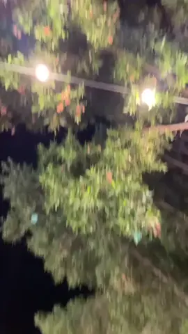 ‏يا بو سليمان العسيري💃🏾##خبيتي##خبيتيات##خبيتي_سلك##خبيتي_بوص##قادري##زار##سامري##الثنيان