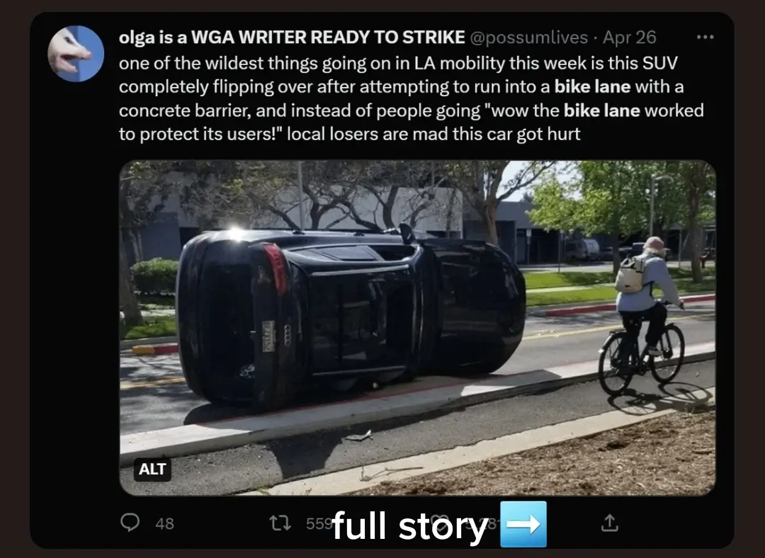 bike lane: works as intended NIMBY: immediate cartoonish anger #bikelane #nimby #yimby #fyp #viral