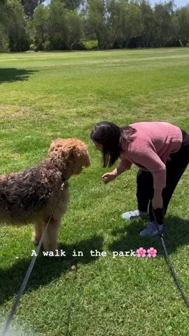 A walk in the park 🌸🌸🌸 #Love #faith #hope #montanasheart #SeeHerGreatness #MyDolceMoment #specialneeds #downsyndrome #southorangecounty #autism #montanasheartandhome #lovedogs #beautyforashes 