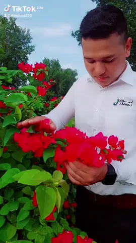 एक दिन जानु छ