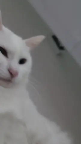 기욥지😽