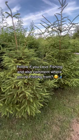 Where’s my Anglers from? 🤷‍♂️🎣 #fyp #foryou #foryoupage #fishing #fishtok #fishinglife #angler #carpfishing #nayzofishing #viral 