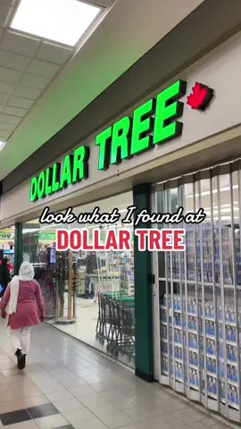 Let’s see if the rave reviews are true #dollartree #dollartreecanadafinds #makeup #cosmetics #affordablemakeup #lacolors 