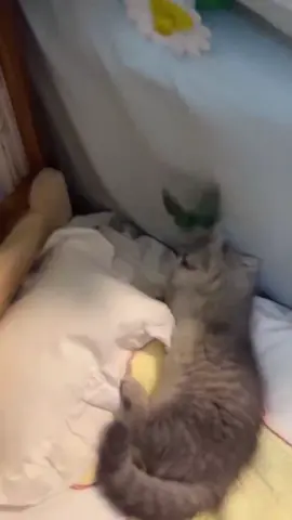 🥰