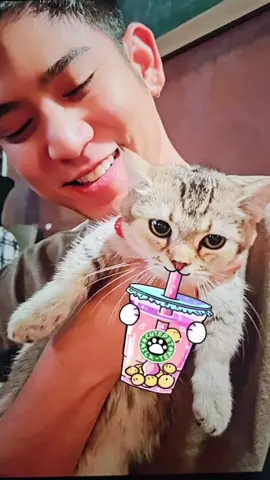 #ทาสแมว #แมวน่ารัก #สัตว์เลี้ยงtiktok #สวนสัตว์tiktok #พอร์ชศรัณย์ #trexthecat #porshe_saran #porshesaran #porsheclub #น่ารัก 