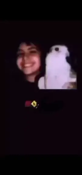 🦅🦅