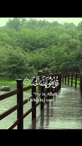 #نور_القرآن #noar_alquran #قران_كريم #quran_alkarim #سورة_الاخلاص #مناظر_طبيعيه_رائعة #حالات_واتس_اب_قرآن_ستوريات #tiktoklongs 
