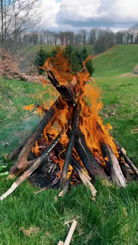 #fypシ #viral #fire #forest #nature #spring #view #fyp #mountain #foryou #tiktok 