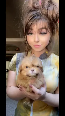 #funk #vietnamtoiyeu #HonkaiStarRail #puppies #foryou 