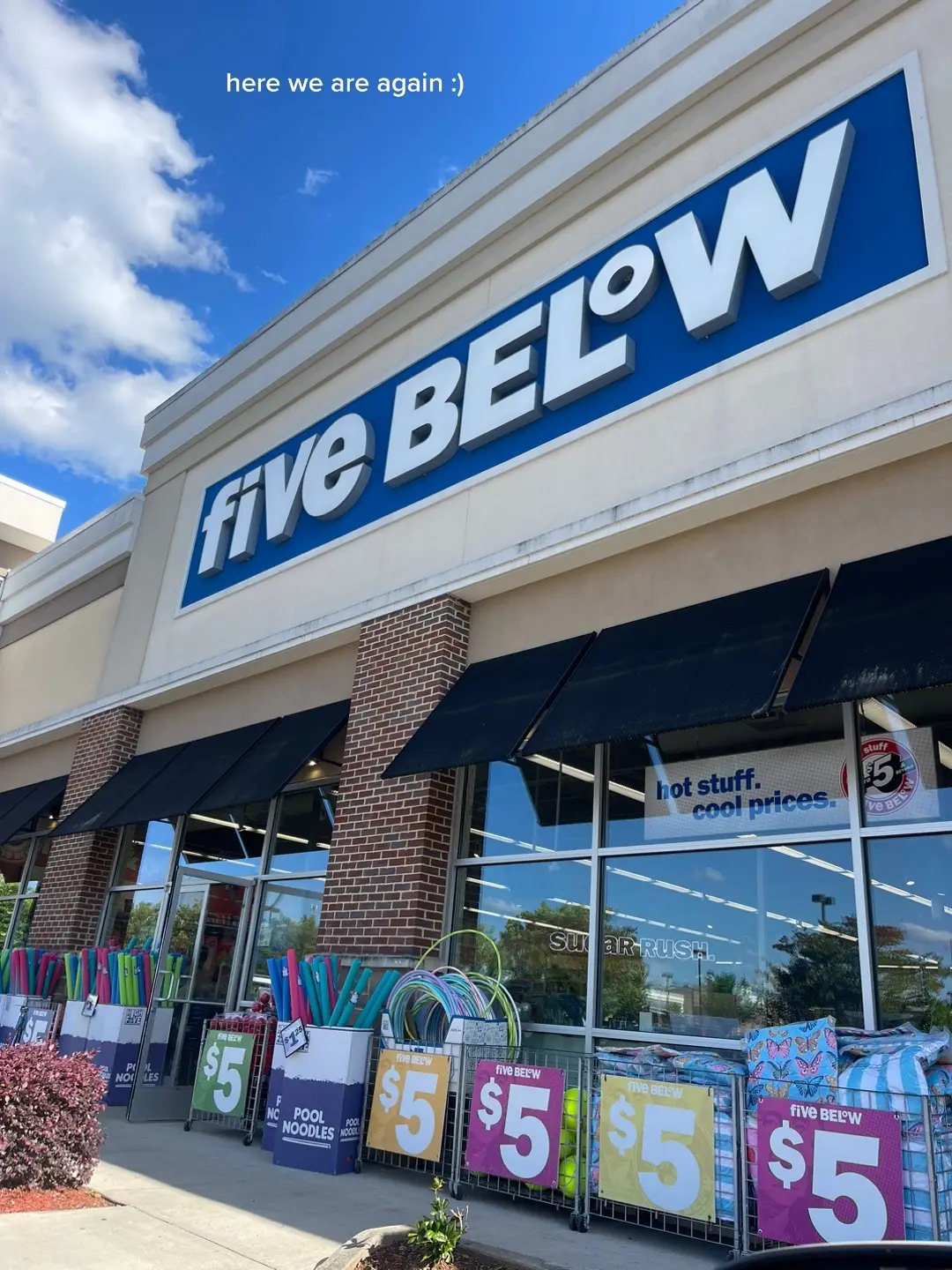 Weekly five below finds, i just couldnt resist! #fivebelow #fivebelowfinds #fivebelowhaul #fivebelowdecor #fivebelowhome #shopping #shopwithme #summerfinds #summerhaul 