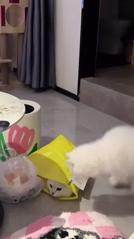 🥰