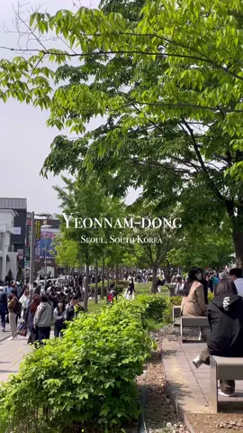 #seoul #southkorea #korea #seoultravel #southkorea🇰🇷 