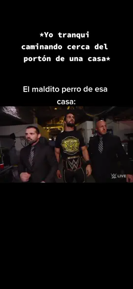 #fyo #fypシ #foryou #foryoupage #sethrollins #fyyyyyyyyyyyyyyyy #fypシ゚viral #greenscreen #xyzbca #parati ##humor #WWE #speed #ishowspeed 
