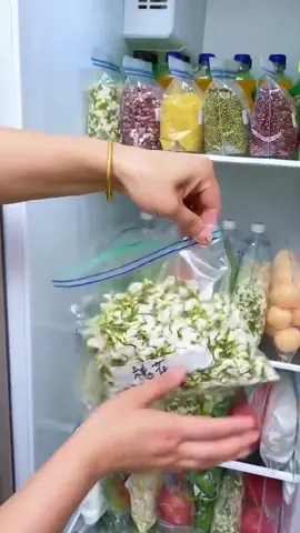 Fresh Zipper Bag Reusable Double Zip Lock Bag Freezer Bag Ziplock Food Wrap Storage Bag Sealer Bag Plastic Bag