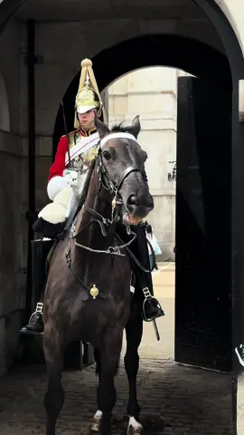 Horse says it’s time to go Buddy #foryou #horseguardsparade #kingsguard  #viral #trending #uk #London #horse #horseriding #animals #fyp 