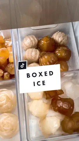 Stitch with @Don maybe I should start boxing my ice and selling it.. who knew people would pay so much for frozen water😂#ice #icedrawer #restock #icetok 