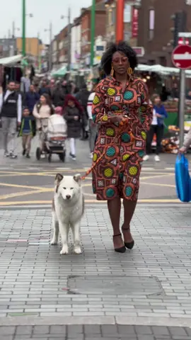 WOWW!! #fyp #viral #model #foryou #dog 