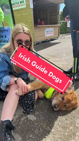 Got to spend some time with Marley 🐶 @Irish Guide Dogs For The Blind #fyp #foryoupage #guidedogsofireland 
