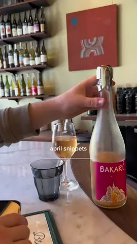 April monthly recap in San Francisco (+1 weekend in Indio) #april2023 #aprilrecap #sftok #sftiktok #sanfrancisco #sftok #monthlyrecap #aprilhighlights #monthlyfavorites 