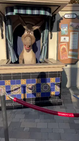 getting lightly roasted by Donkey at Universal #universalstudioshollywood #donkey #shrek 