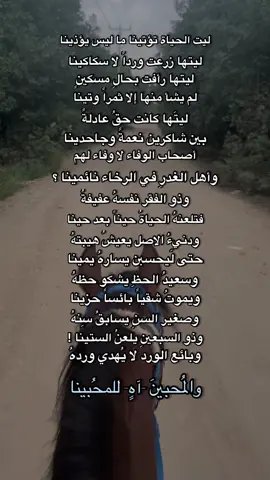 أيا ليت💔 #شعر #صبا_السلطان #فصحى #اكسبلور #fyp #خيل_وخياله🐎 