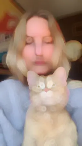I’m not the main character … she is #maincharacter #cat #tiktok #cartoon 