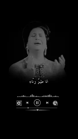 #ام_كلثوم انا طيرٌ رنام في دنيا الأحلام #كلثوميات #رياض_السنباطي #احمد_رامي #اغاني_الزمن_الجميل #fyp #السعودية #مصر #اكسبلور 