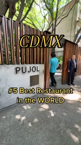 Let’s talk about #Pujol - here’s my honest opinion on the world’s #5 best restaurant. #cdmx #mexicocity #toprestaurants #bestrestaurants #polanco #fancyrestaurants #food #cdmxreview #cdmxrestaurantes #RestaurantReview #mexicocityfood #worldsbestrestaurants 