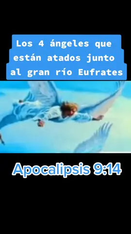 #Apocalipsis 9:14 [14]Y la voz le dijo al sexto ángel, que tenía la trompeta: «Suelta a los cuatro ángeles que están atados en el gran río Éufrates». #fypツ 
