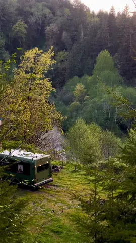 Spring showers 🌧️🌼✨ #buslife #vanlife #treehouse #cozy #pnw #oregon #springhome #coffeeathome #hyggehome #cozyhome #slowliving #cottagecorevibes #lifeontheroad #busconversion #fulltimecamper #fulltimetravel #homeonwheels #tinyhouse #nomad #pnwlife #fyp 