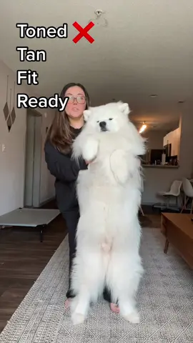 Summer Checklist…. aint ready❌ #tonedtannedfitandready #samoyedsoftiktok #dogsontiktok 