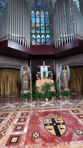 Step into the awe-inspiring beauty of the Cathedral of the Most Blessed Sacrament in #Detroit, Michigan. Join me for a virtual walkthrough of this magnificent church, filled with stunning stained glass, towering pillars, and intricate details that will take your breath away. #CathedralTour #MichiganChurches #ReligiousArchitecture #SacredSpaces #VirtualTour