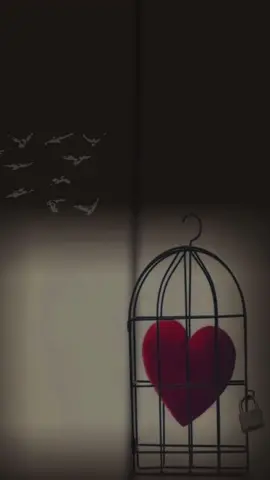 #مري #مريم🤍❤🤍❤🤍 #ينولد #ينولد_حبك_وحبي #ينولد_حبك_وحبي #ينولد_حبك_وحبي_واعشقك_ياروح_قلبي🤍 #ينولد_حبك #عبدالمجيد #عبدالمجيد_عبدالله #حرف #خلفيات #خلفيات_متحركة #تخريج_الخمسين #مشاهير #خلفيات_ايفون #خلفياتي💙 #خلفياتي💙 #اكسبلورexplore #مشاهدات_تيك_توك #مشاهدات_تيك_توك #عرب #ترند #عرب_تيك_توك #متابعي #تخرجنا_ورفعنا_الراس #تخرجنا_ورفعنا_الراس #ترند_تيك_توك #صحيح يحز في نفسي بعد ذاك الوفاء فرقاك #خلفات🇮🇶🇮🇶 #اكسبلو #مشاهدات #خلفيات_متحركة #خلفيات #فديوهات #اغاني #تصميم #تصميم_فيديوهات🎶🎤🎬 #foryou#fyp #الكلام_لو_كان_يعبر_علي_الحنان❤🦋❤ 