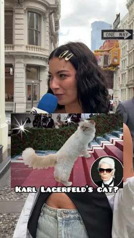 Who put on the best cat walk? 🐱  #metgala #karllagerfeld #metgala2023 #metgalastyle #metgalalooks #metgalaoutfits #metgalafashion #metgalastyle 