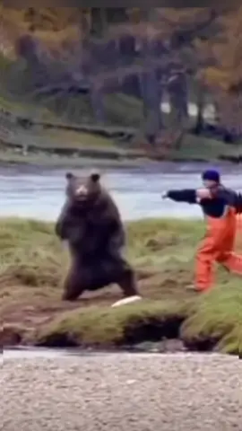 Bear and Fisherman Fight Over Salmon #bearvsman #bear #grizzly #grizzlybear #mma #kickboxing #martialarts #jiujitsu #funnyanimalvideos #funnyanimalsoftiktok 
