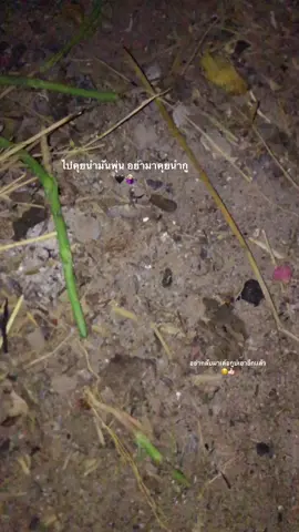 #ดันขึ้นฟีดที #ฟีด 