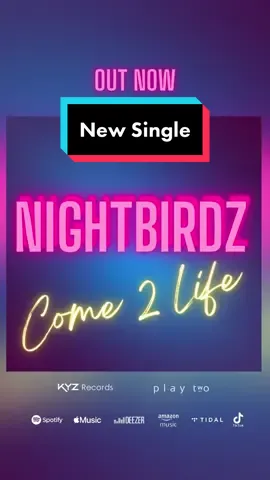 Nouveau sibgle disponible #nightbirdz #come2life #molio #kyzrecords @playtwolabel #electronicmusic #dance 
