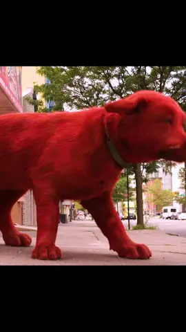 #dog #fyp #tiktok #foryou #movie #thebigreddog 